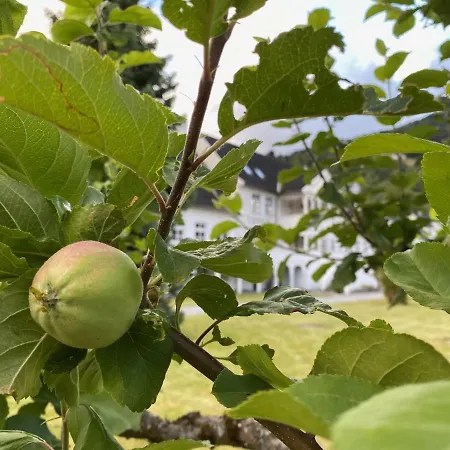 Torvis Hotel Marifjora