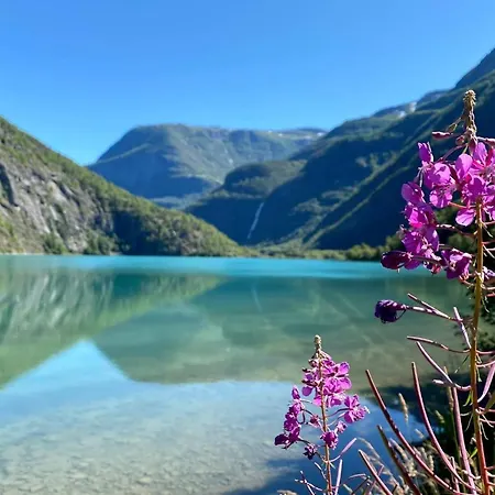 Torvis Marifjora