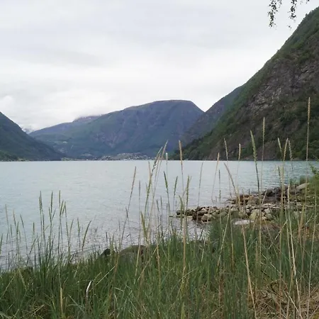 Torvis Marifjora