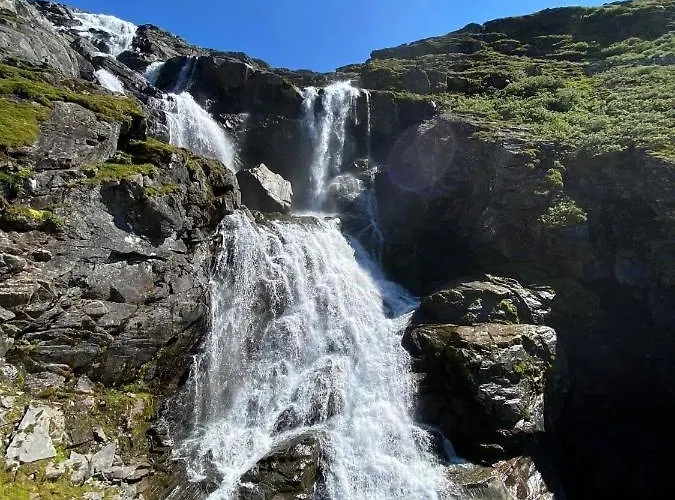 Torvis Marifjora