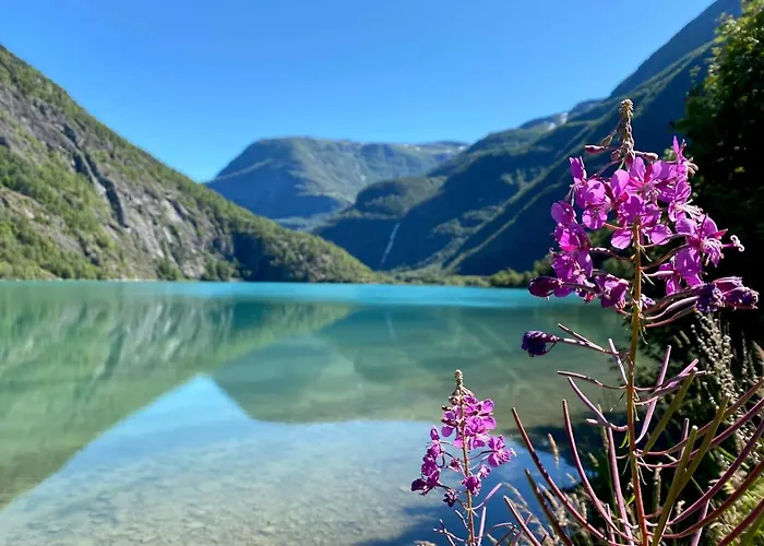 Torvis Marifjora