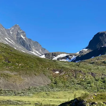 ホテル Torvis Marifjora